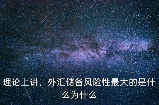 理論上講，外匯儲(chǔ)備風(fēng)險(xiǎn)性最大的是什么為什么