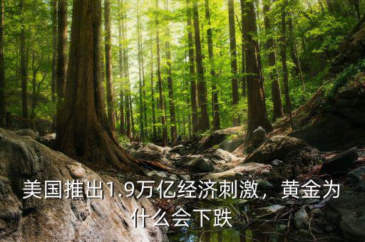 美國推出1.9萬億經(jīng)濟刺激，黃金為什么會下跌