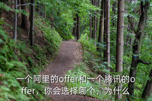 一個(gè)阿里的offer和一個(gè)騰訊的offer，你會(huì)選擇哪個(gè)，為什么