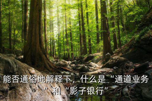 能否通俗地解釋下，什么是“通道業(yè)務”和“影子銀行”