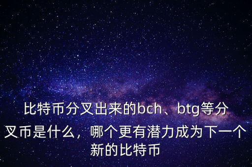 比特幣分叉出來的bch、btg等分叉幣是什么，哪個(gè)更有潛力成為下一個(gè)新的比特幣