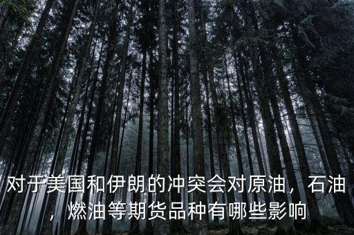 對于美國和伊朗的沖突會對原油，石油，燃油等期貨品種有哪些影響
