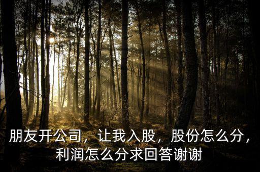 朋友開公司，讓我入股，股份怎么分，利潤怎么分求回答謝謝