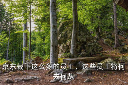 京東裁下這么多的員工，這些員工將何去何從