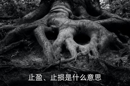 止盈、止損是什么意思