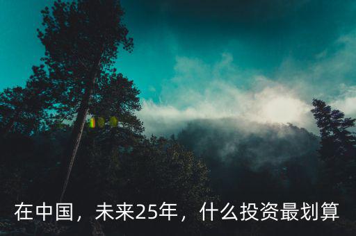 在中國(guó)，未來(lái)25年，什么投資最劃算