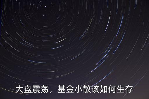 大盤震蕩，基金小散該如何生存