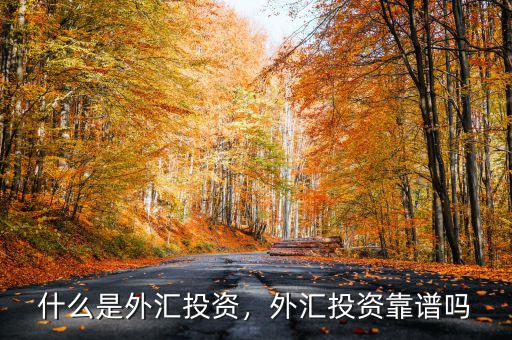 什么是外匯投資，外匯投資靠譜嗎