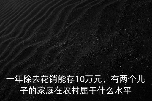一年除去花銷(xiāo)能存10萬(wàn)元，有兩個(gè)兒子的家庭在農(nóng)村屬于什么水平