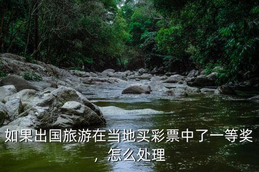 如果出國旅游在當?shù)刭I彩票中了一等獎，怎么處理