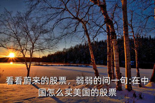 看看蔚來的股票，弱弱的問一句:在中國怎么買美國的股票