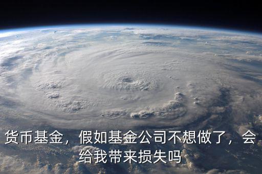 貨幣基金，假如基金公司不想做了，會(huì)給我?guī)頁p失嗎