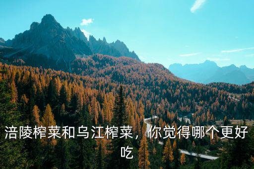 涪陵榨菜和烏江榨菜，你覺(jué)得哪個(gè)更好吃