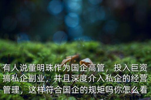 有人說董明珠作為國企高管，投入巨資搞私企副業(yè)，并且深度介入私企的經(jīng)營管理，這樣符合國企的規(guī)矩嗎你怎么看