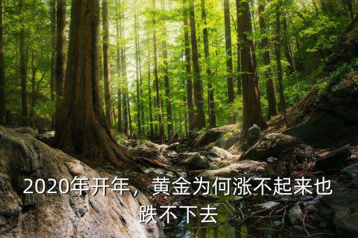 2020年開(kāi)年，黃金為何漲不起來(lái)也跌不下去