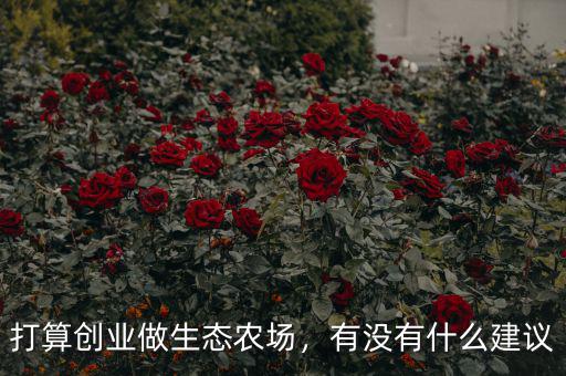 打算創(chuàng)業(yè)做生態(tài)農(nóng)場，有沒有什么建議