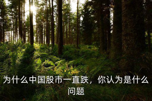為什么中國(guó)股市一直跌，你認(rèn)為是什么問題