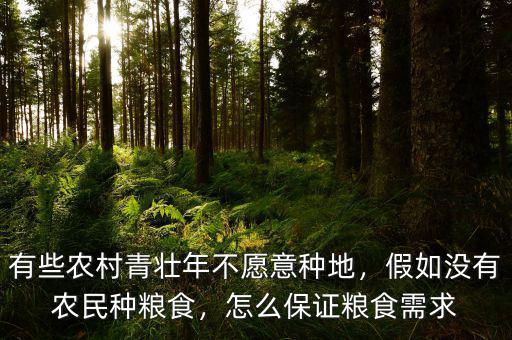 有些農(nóng)村青壯年不愿意種地，假如沒有農(nóng)民種糧食，怎么保證糧食需求