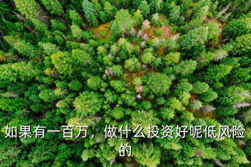 如果有一百萬，做什么投資好呢低風(fēng)險(xiǎn)的
