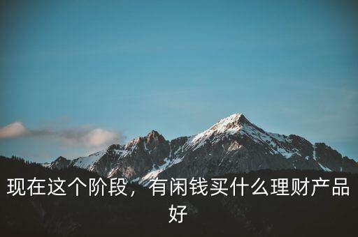 現(xiàn)在這個階段，有閑錢買什么理財產(chǎn)品好