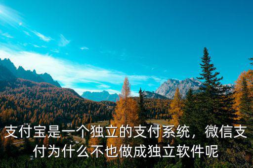 支付寶是一個(gè)獨(dú)立的支付系統(tǒng)，微信支付為什么不也做成獨(dú)立軟件呢