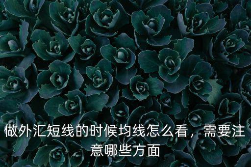 做外匯短線的時(shí)候均線怎么看，需要注意哪些方面