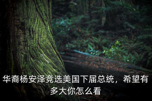 華裔楊安澤競(jìng)選美國(guó)下屆總統(tǒng)，希望有多大你怎么看