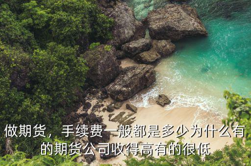 做期貨，手續(xù)費(fèi)一般都是多少為什么有的期貨公司收得高有的很低