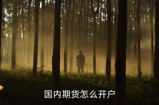 安信期貨怎么開(kāi)戶(hù),期貨該怎么開(kāi)戶(hù)