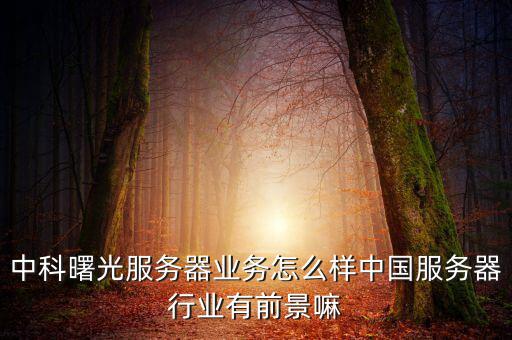 中科曙光公司怎么樣,中科曙光服務器業(yè)務怎么樣