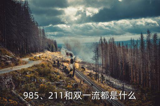 985、211和雙一流都是什么
