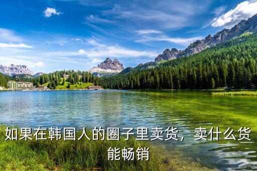 如果在韓國(guó)人的圈子里賣貨，賣什么貨能暢銷
