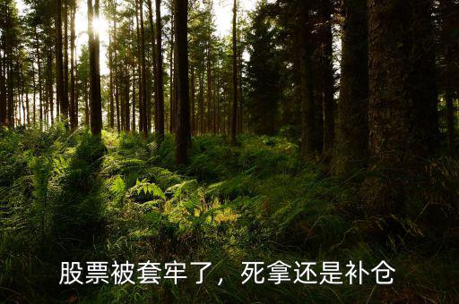 股票被套牢了，死拿還是補倉