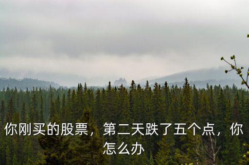 你剛買的股票，第二天跌了五個(gè)點(diǎn)，你怎么辦
