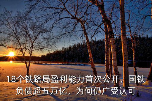 18個鐵路局盈利能力首次公開，國鐵負(fù)債超五萬億，為何仍廣受認(rèn)可