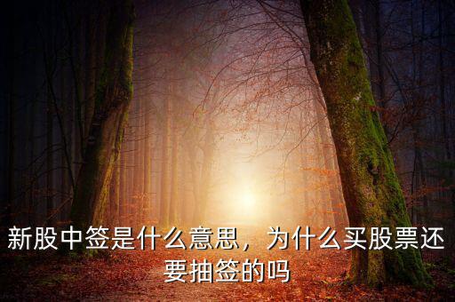 新股中簽是什么意思，為什么買股票還要抽簽的嗎