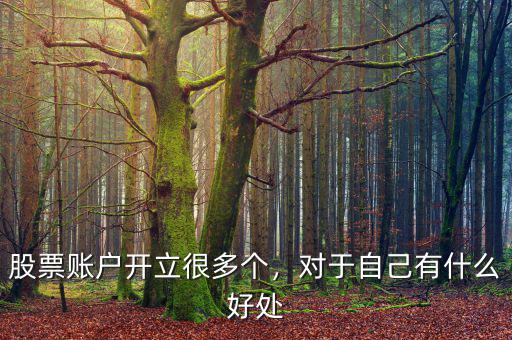 股票賬戶開(kāi)立很多個(gè)，對(duì)于自己有什么好處
