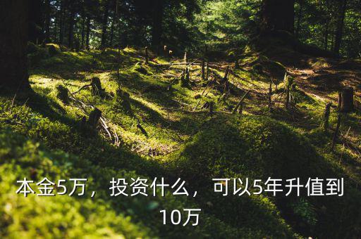 本金5萬(wàn)，投資什么，可以5年升值到10萬(wàn)