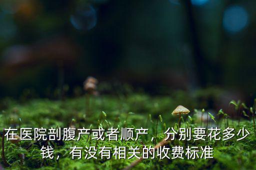 在醫(yī)院剖腹產(chǎn)或者順產(chǎn)，分別要花多少錢，有沒(méi)有相關(guān)的收費(fèi)標(biāo)準(zhǔn)