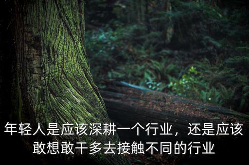 年輕人是應該深耕一個行業(yè)，還是應該敢想敢干多去接觸不同的行業(yè)