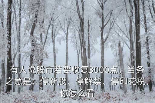 有人說(shuō)股市若要收復(fù)3000點(diǎn)，當(dāng)務(wù)之急是：停新股、停解禁、停印花稅，你怎么看