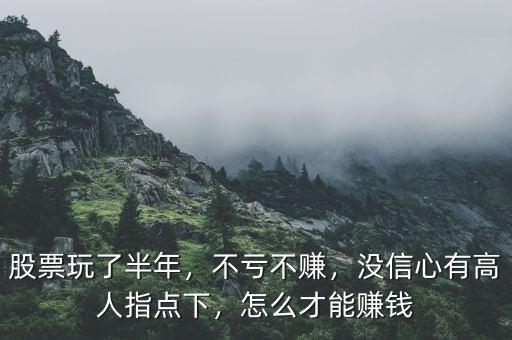 股票玩了半年，不虧不賺，沒信心有高人指點下，怎么才能賺錢