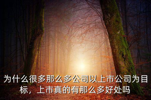 為什么很多那么多公司以上市公司為目標(biāo)，上市真的有那么多好處嗎