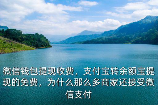 微信錢包提現(xiàn)收費，支付寶轉(zhuǎn)余額寶提現(xiàn)的免費，為什么那么多商家還接受微信支付