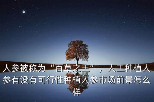 人參被稱為“百草之王”，人工種植人參有沒有可行性種植人參市場前景怎么樣