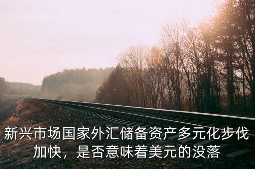 新興市場(chǎng)國(guó)家外匯儲(chǔ)備資產(chǎn)多元化步伐加快，是否意味著美元的沒落