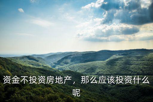 資金不投資房地產(chǎn)，那么應(yīng)該投資什么呢