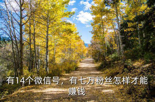 有14個(gè)微信號(hào)，有七萬粉絲怎樣才能賺錢