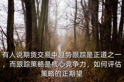 有人說(shuō)期貨交易中趨勢(shì)跟蹤是正道之一，而跟蹤策略是核心競(jìng)爭(zhēng)力，如何評(píng)估策略的正期望