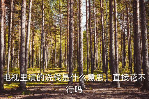 電視里演的洗錢是什么意思，直接花不行嗎